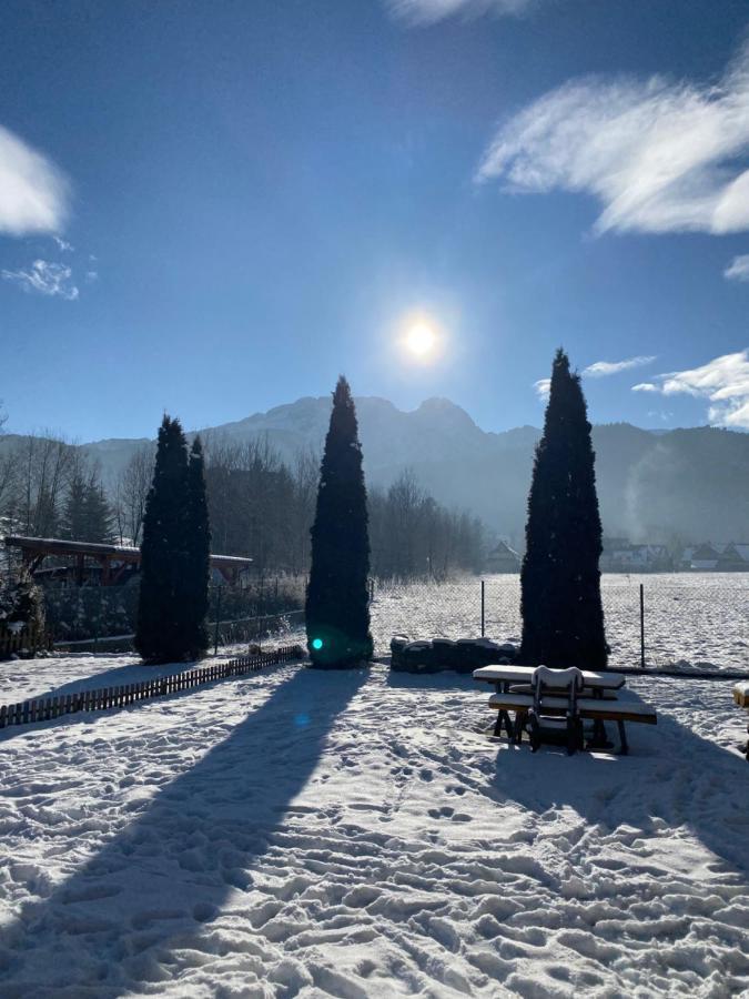 Zolta Turnia Lejlighed Zakopane Eksteriør billede